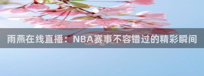 雨燕在线直播：NBA赛事不容错过的精彩瞬间