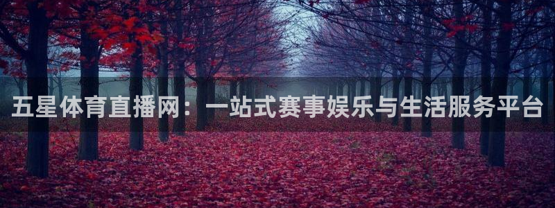 五星体育直播网：一站式赛事娱乐与生活服务平台