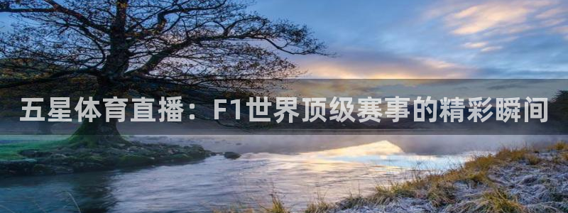 五星体育直播：F1世界顶级赛事的精彩瞬间