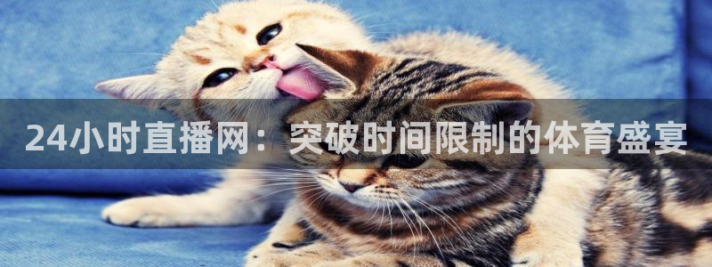 24小时直播网：突破时间限制的体育盛宴