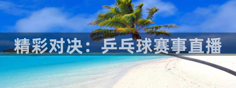 精彩对决：乒乓球赛事直播