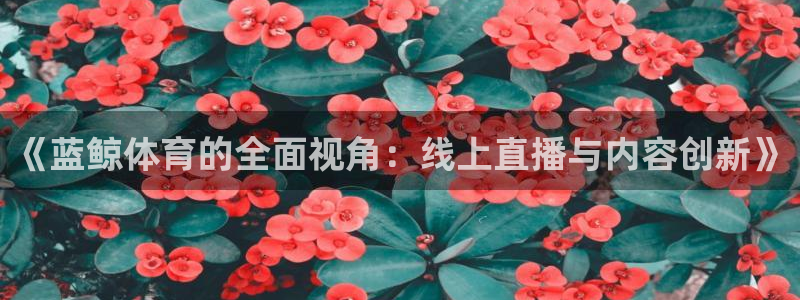 《蓝鲸体育的全面视角：线上直播与内容创新》
