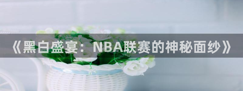 《黑白盛宴：NBA联赛的神秘面纱》