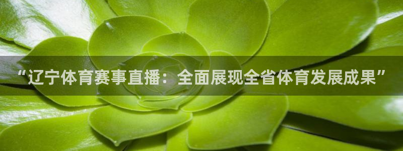 “辽宁体育赛事直播：全面展现全省体育发展成果”