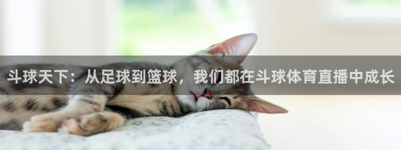 斗球天下：从足球到篮球，我们都在斗球体育直播中成长