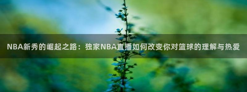 NBA新秀的崛起之路：独家NBA直播如何改变你对篮球的理解与热爱