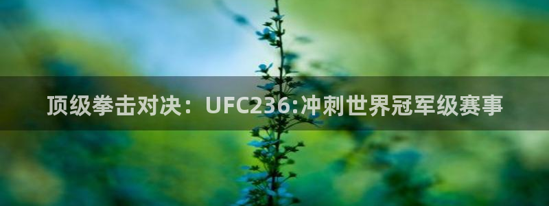 顶级拳击对决：UFC236:冲刺世界冠军级赛事