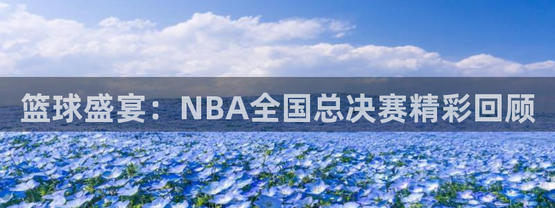 篮球盛宴：NBA全国总决赛精彩回顾