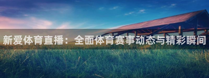 新爱体育直播：全面体育赛事动态与精彩瞬间