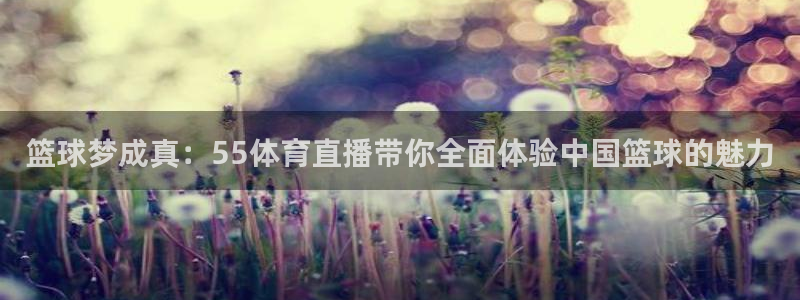 篮球梦成真：55体育直播带你全面体验中国篮球的魅力