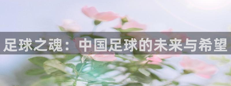 足球之魂：中国足球的未来与希望