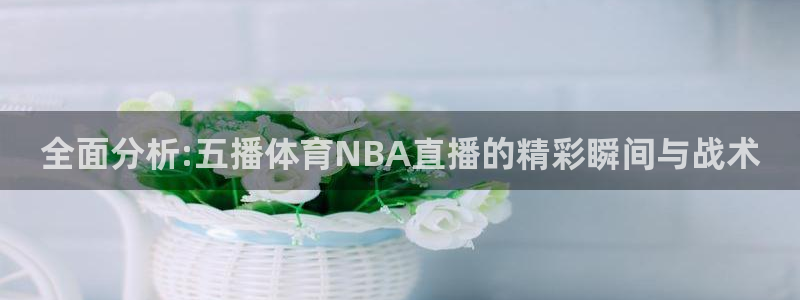 全面分析:五播体育NBA直播的精彩瞬间与战术