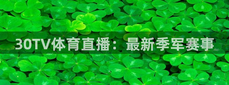 30TV体育直播：最新季军赛事