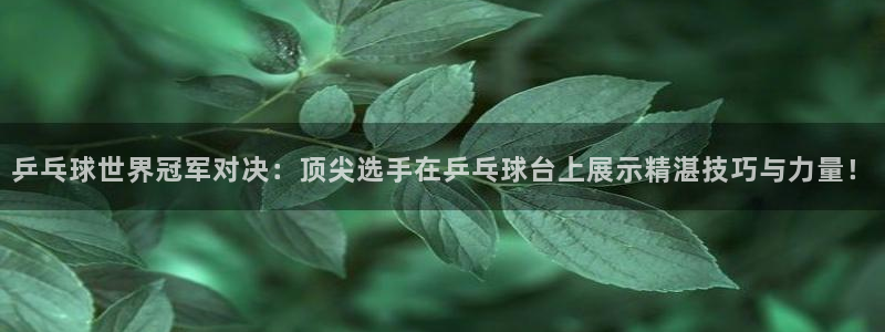 乒乓球世界冠军对决：顶尖选手在乒乓球台上展示精湛技巧与力量！