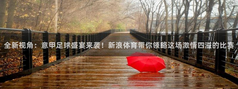 全新视角：意甲足球盛宴来袭！新浪体育带你领略这场激情四溢的比赛