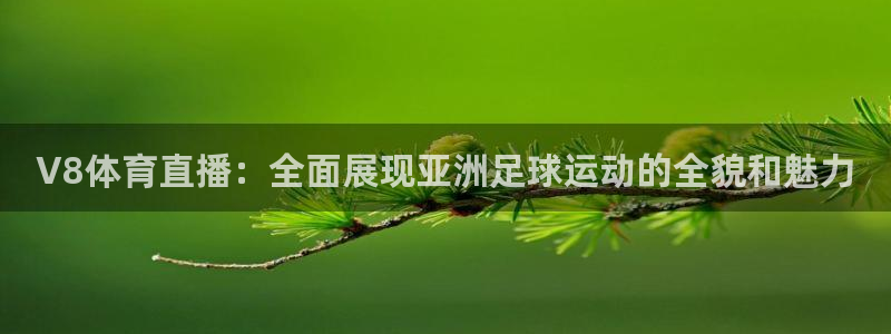 V8体育直播：全面展现亚洲足球运动的全貌和魅力