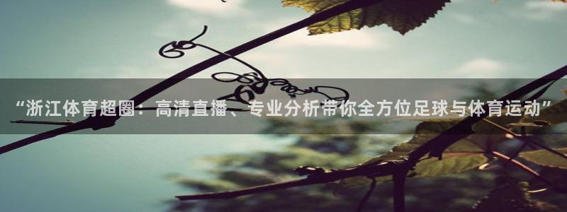 “浙江体育超圈：高清直播、专业分析带你全方位足球与体育运动”