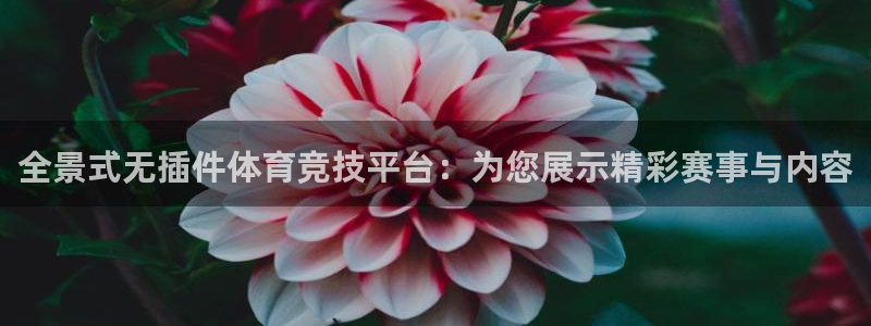 全景式无插件体育竞技平台：为您展示精彩赛事与内容