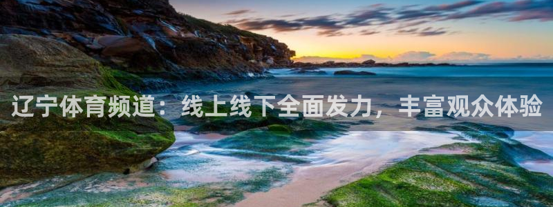 辽宁体育频道：线上线下全面发力，丰富观众体验