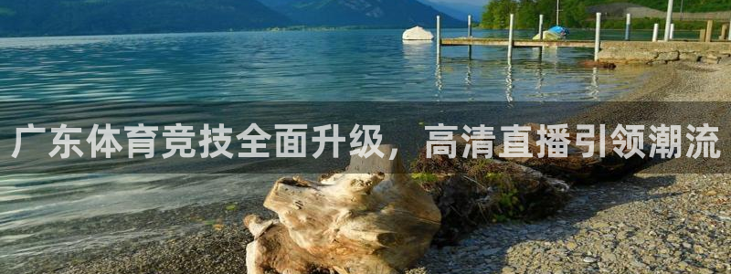 广东体育竞技全面升级，高清直播引领潮流