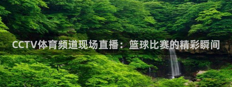 CCTV体育频道现场直播：篮球比赛的精彩瞬间