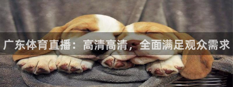 广东体育直播：高清高清，全面满足观众需求