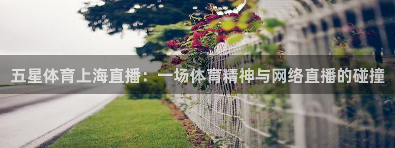 五星体育上海直播：一场体育精神与网络直播的碰撞