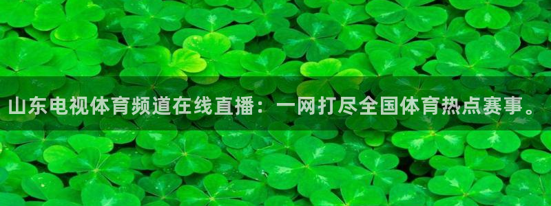 山东电视体育频道在线直播：一网打尽全国体育热点赛事。