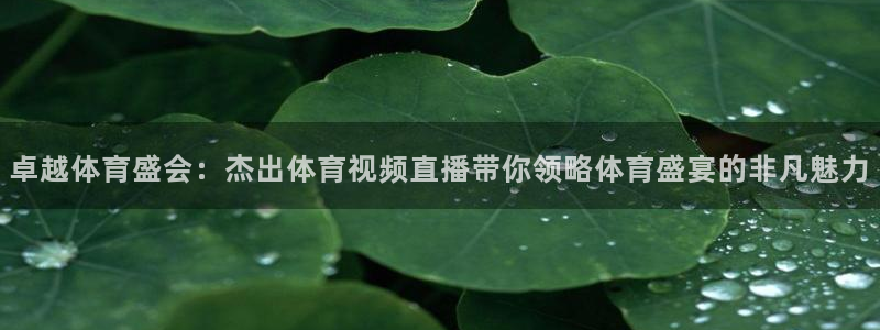 卓越体育盛会：杰出体育视频直播带你领略体育盛宴的非凡魅力