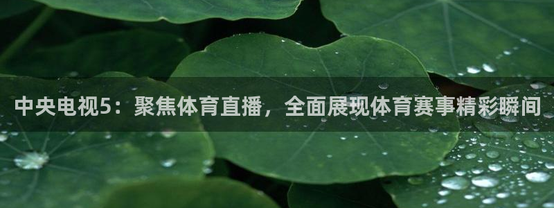 中央电视5：聚焦体育直播，全面展现体育赛事精彩瞬间
