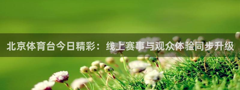 北京体育台今日精彩：线上赛事与观众体验同步升级