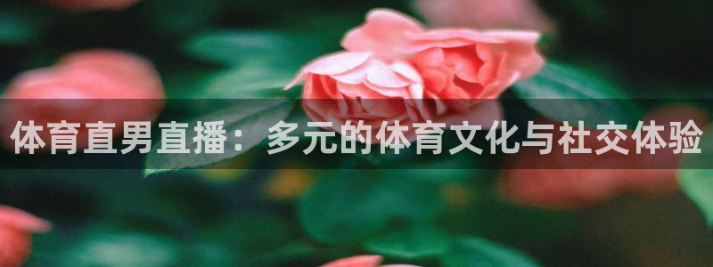 体育直男直播：多元的体育文化与社交体验