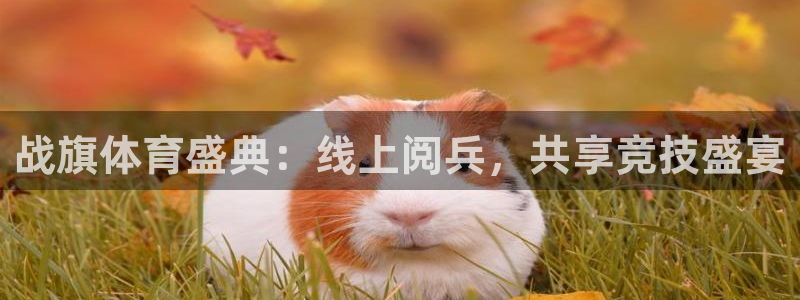 战旗体育盛典：线上阅兵，共享竞技盛宴