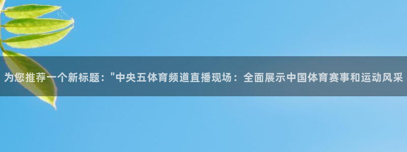 为您推荐一个新标题：\
