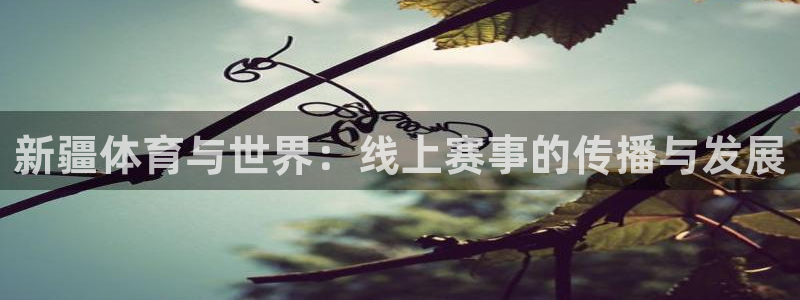 新疆体育与世界：线上赛事的传播与发展
