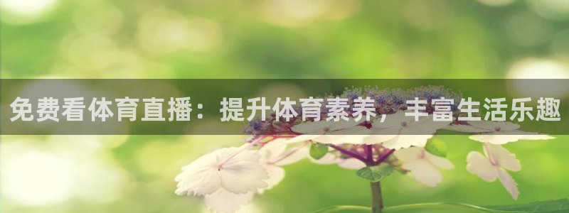 免费看体育直播：提升体育素养，丰富生活乐趣