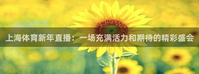 上海体育新年直播：一场充满活力和期待的精彩盛会