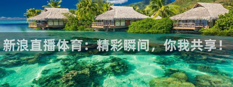 新浪直播体育：精彩瞬间，你我共享！