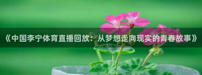 《中国李宁体育直播回放：从梦想走向现实的青春故事》
