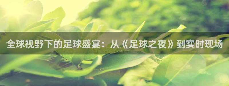 全球视野下的足球盛宴：从《足球之夜》到实时现场