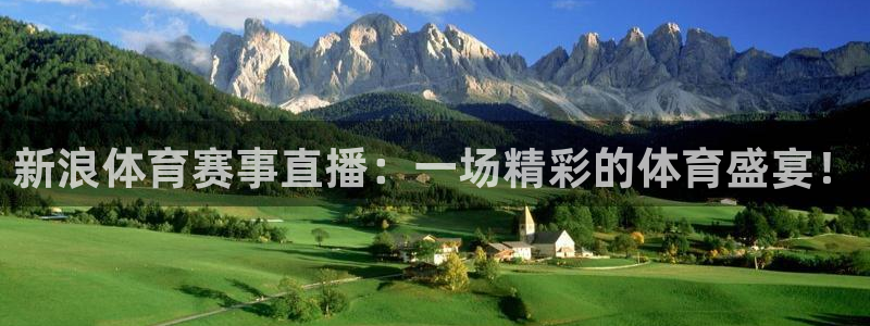 新浪体育赛事直播：一场精彩的体育盛宴！