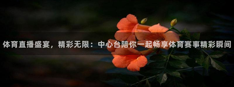 体育直播盛宴，精彩无限：中心台陪你一起畅享体育赛事精彩瞬间