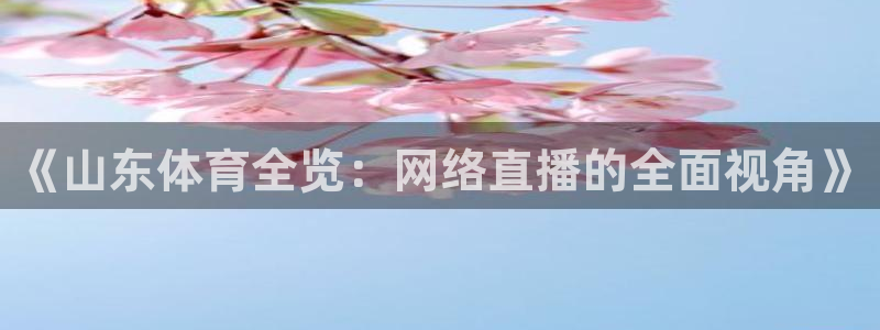 《山东体育全览：网络直播的全面视角》