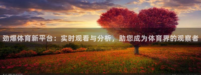 劲爆体育新平台：实时观看与分析，助您成为体育界的观察者