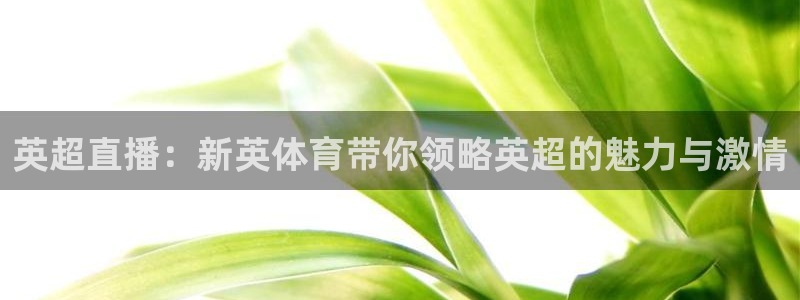 英超直播：新英体育带你领略英超的魅力与激情