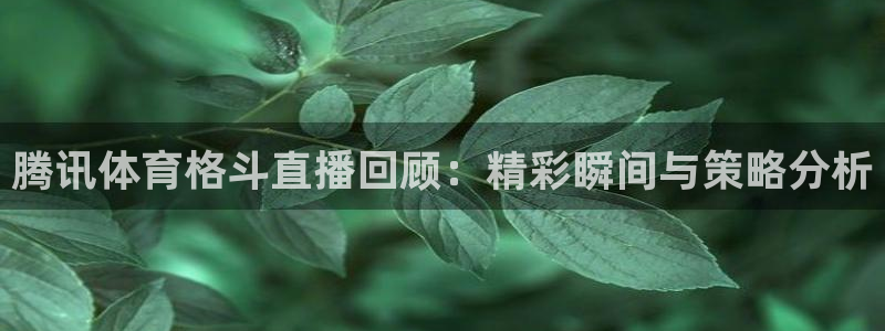 腾讯体育格斗直播回顾：精彩瞬间与策略分析