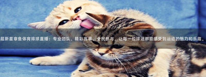 超新星章鱼体育排球直播：专业团队、精彩赛事、全民参与，让每一位球迷都能感受到运动的魅力和乐趣。