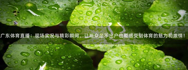 广东体育直播：现场实况与精彩瞬间，让观众足不出户也能感受到体育的魅力和激情！