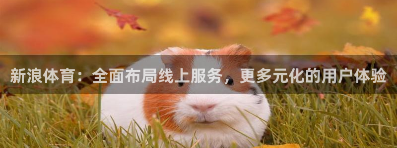 新浪体育：全面布局线上服务，更多元化的用户体验