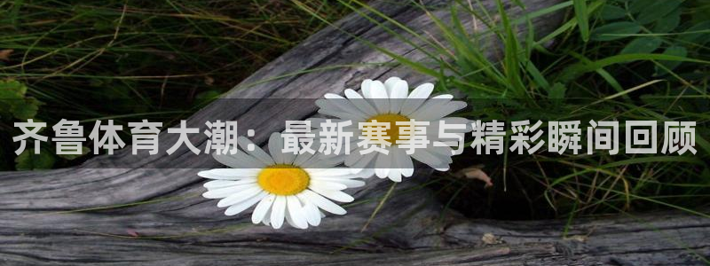 齐鲁体育大潮：最新赛事与精彩瞬间回顾